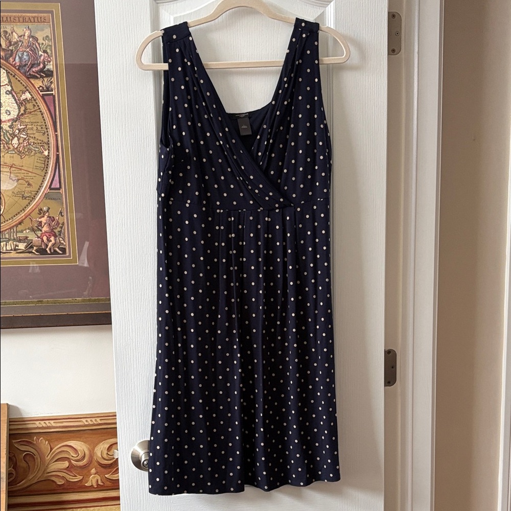 Ann Taylor Navy and White Polka Dot Dress